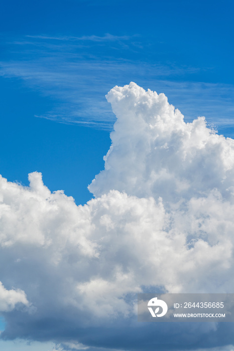 空　入道雲