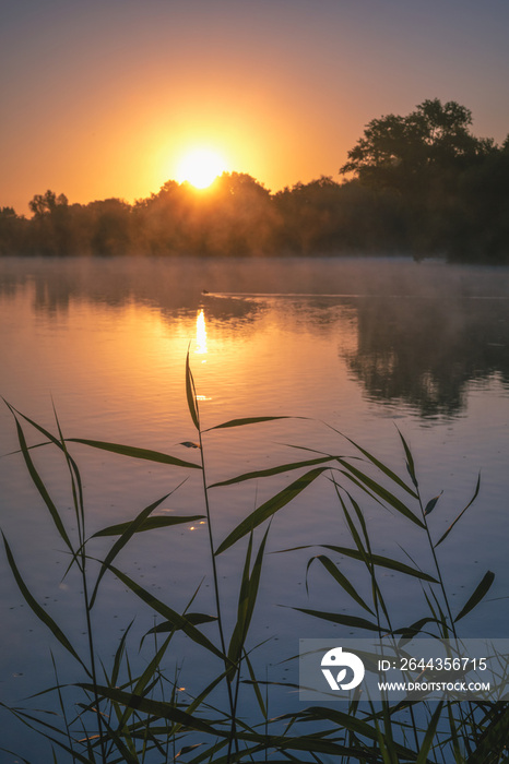 Goldener Sonnenaufgang am Berenbosteler See in Garbsen bei Hannover