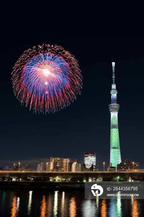 花火と夜景