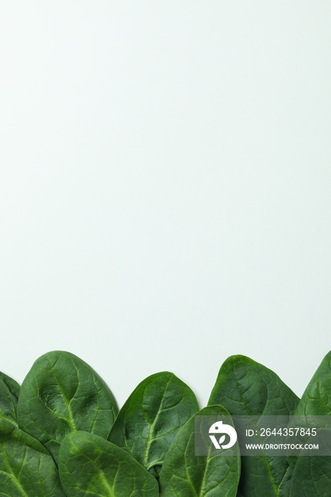 Fresh raw spinach leaves on white background