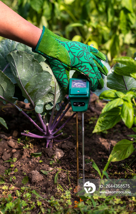 Moisture meter tester in soil. Measure soil for humidity, nitrogen and HP with digital device.