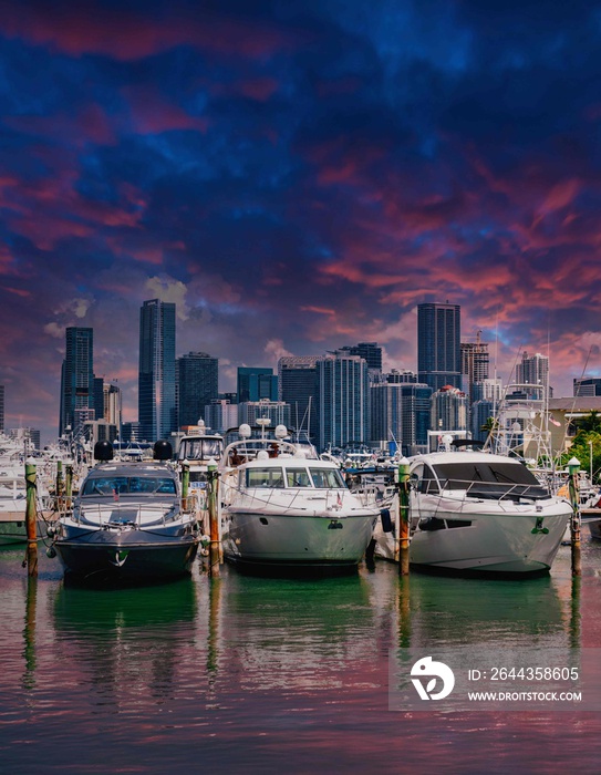 city skyline beautiful miami Brickell boats marina