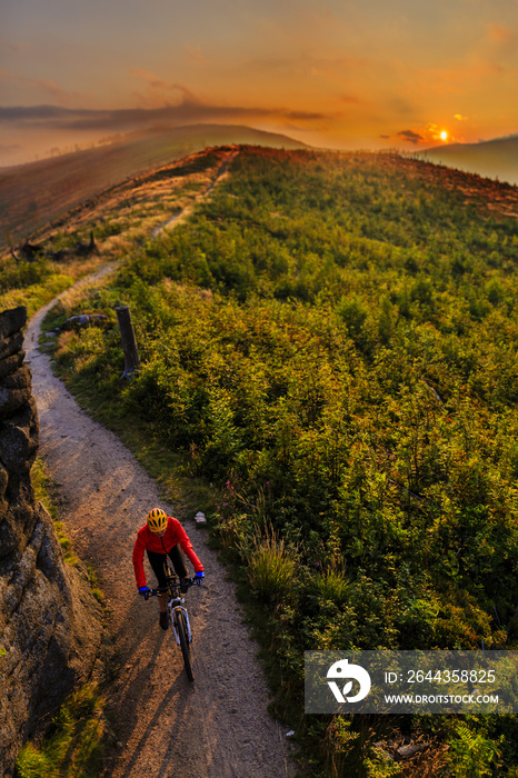 Mountain biking women riding on bike in summer mountains forest landscape. Woman cycling MTB flow trail track. Outdoor sport activity.