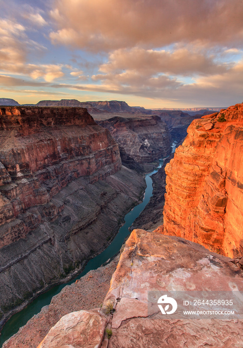 Colorado river runs through the depth of Grand Canyon