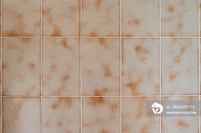 1970s Beige Bathroom Tiles