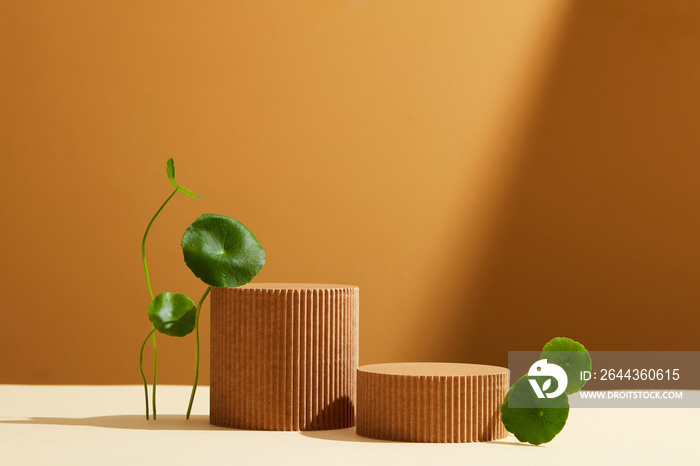 Empty platform for cosmetics bottle containers with centella asiatica ingredient. Brown Background with simple lighting. Minimalism style.