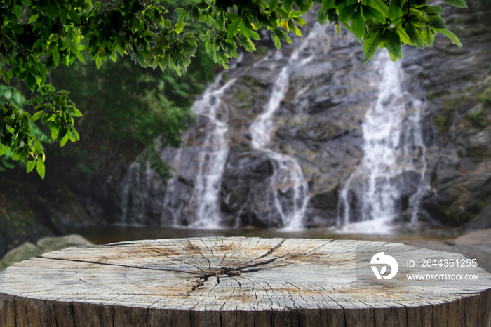 Wooden desk or stump in green forest background,For product display. Beautiful mountain at sunrise.