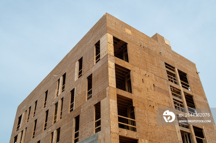 construction of a multi storey plywood house