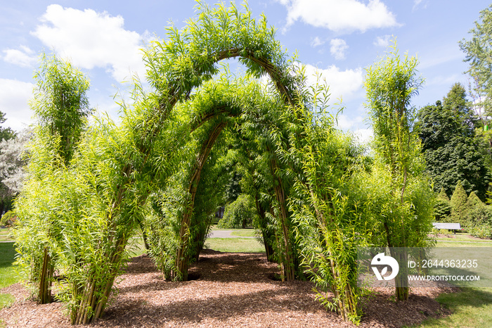 Pretty public park with arches made of braided willow seen during a sunny summer day, Montreal, Quebec, Canada