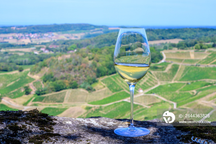 Tasting of white or jaune Jura wine on vineyards near Chateau-Chalon village in Jura region, France