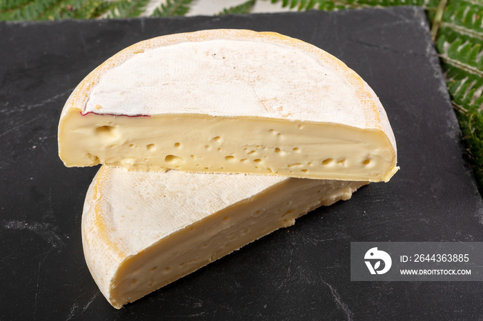 closeup of french cheese reblochon, Savoie product