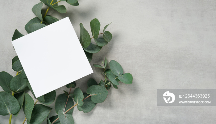 Real photo. square invitation card mockup with a eucalyptus branch. Top view with copy space, light gray concrete background. Template for branding and advertising