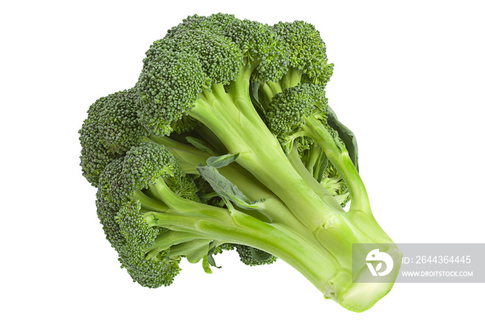 Broccoli cabbage on white