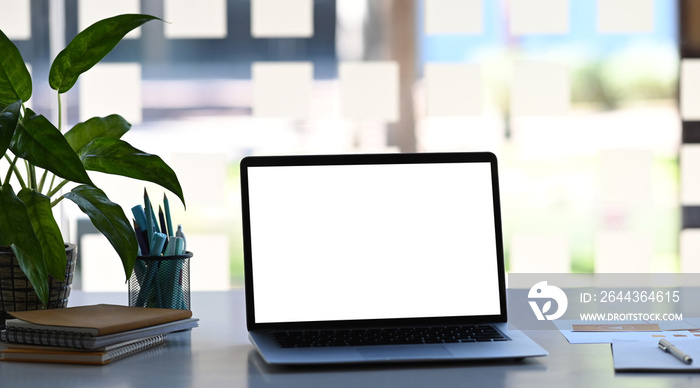 Front view of designer workplace with blank screen laptop, plant, notebook and paper work on white table.