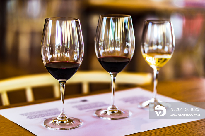 View on Degustation of white and red port wine in tasting room, Portugal