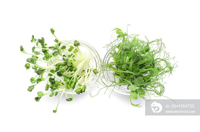 Fresh micro green on white background