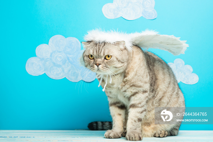 Christmas angel cat on a blue background with birds. New Year kitty, pet