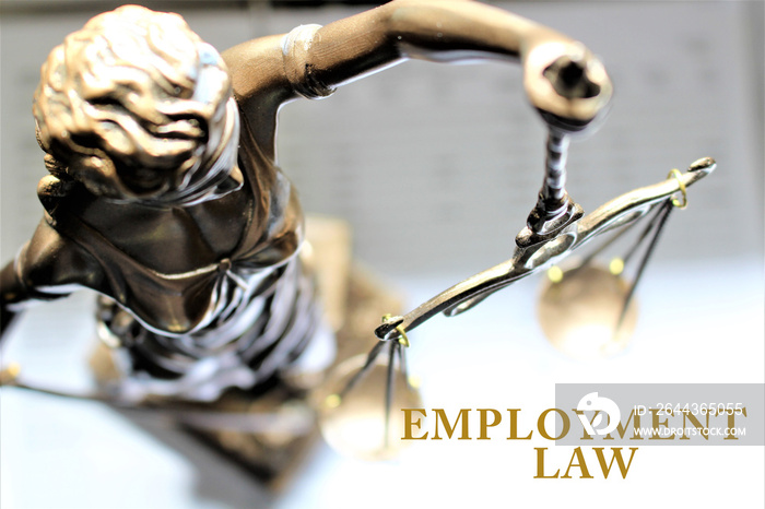 An concept Image of a employment law