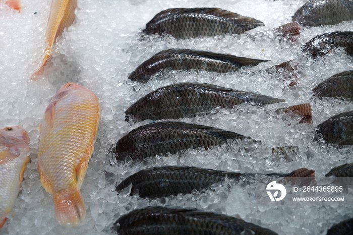 Fresh frozen fish in the super market selling a variety of fresh food.