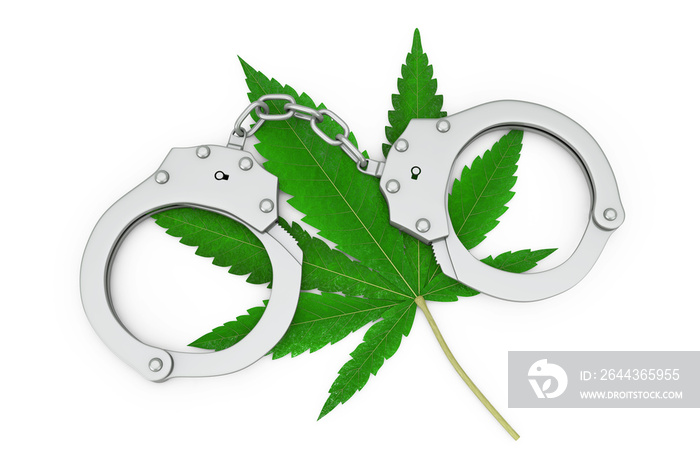 Metal Handcuffs with Medical Marijuana or Cannabis Hemp Leaf. 3d Rendering