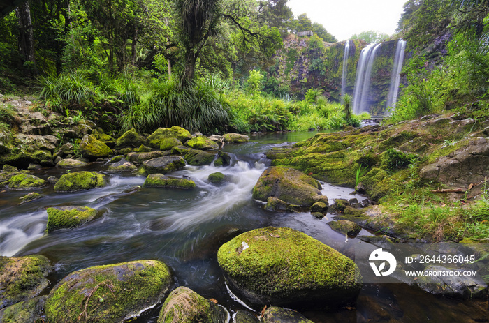 Otuihau Whangarei Falls