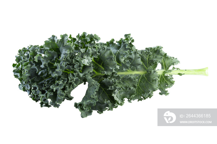 Fresh green leaves of Kale. Green vegetable leaves isolated on a transparent background.