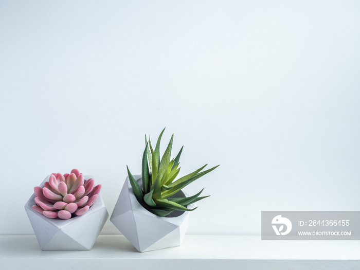 Cactus pot. Concrete pot. Modern geometric concrete planter with succulent plants on white shelf and white background. with copy space.