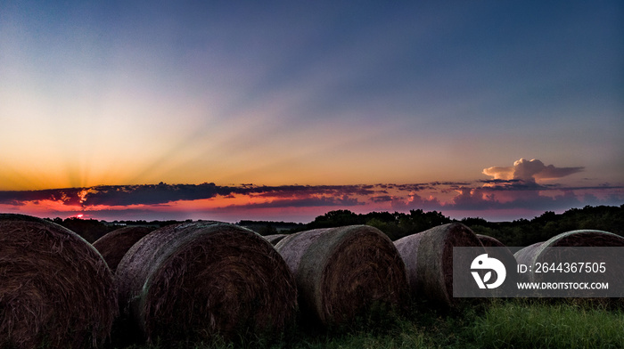 Sunrise in Nebraska over rows of round hay bales in a rural field