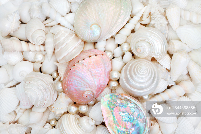 Seashell background with pearls and mother of pearl shells forming an abstract background.