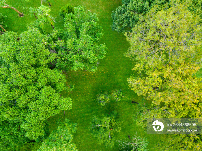 Top View of City Park, Green Zone