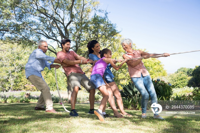 Family playing tug of war in the park