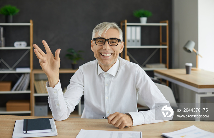 Web cam headshot of happy senior man, entrepreneur, business executive, financial advisor or HR manager, sitting at office desk, looking at camera and waving hello greeting you in video conference