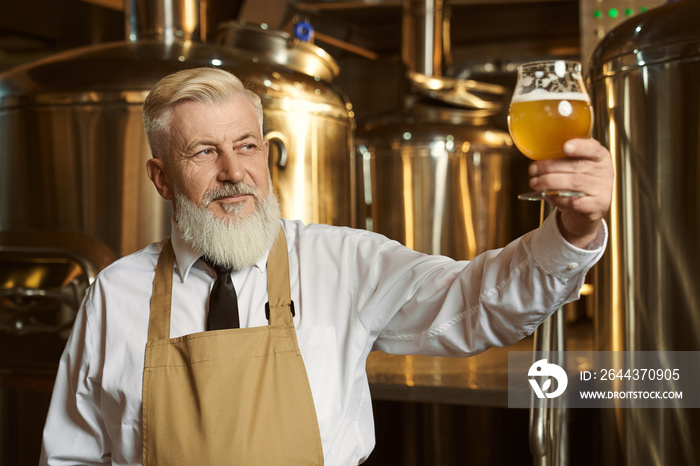 Clever man keeping glass and looking at light beer