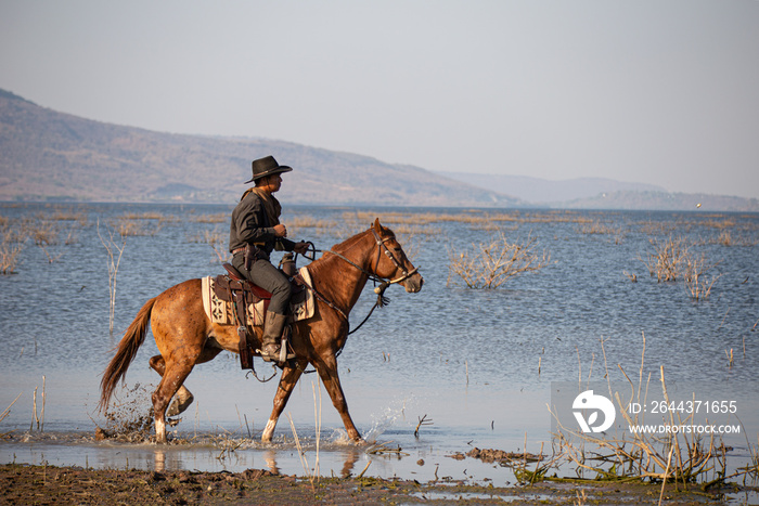 cowboy and horse at first light,mountain, river and lifestyle with natural light background