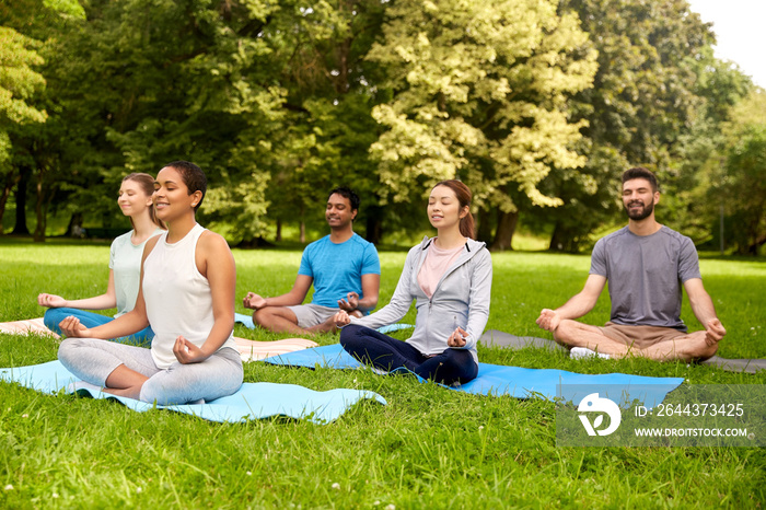 fitness, sport, yoga and healthy lifestyle concept - group of people meditating in lotus pose at summer park