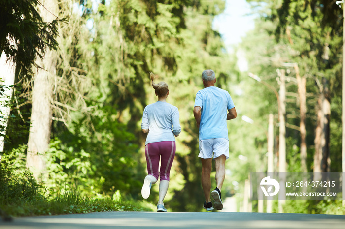 Back view of aged spouses in activewear running down road in park between trees on sunny day