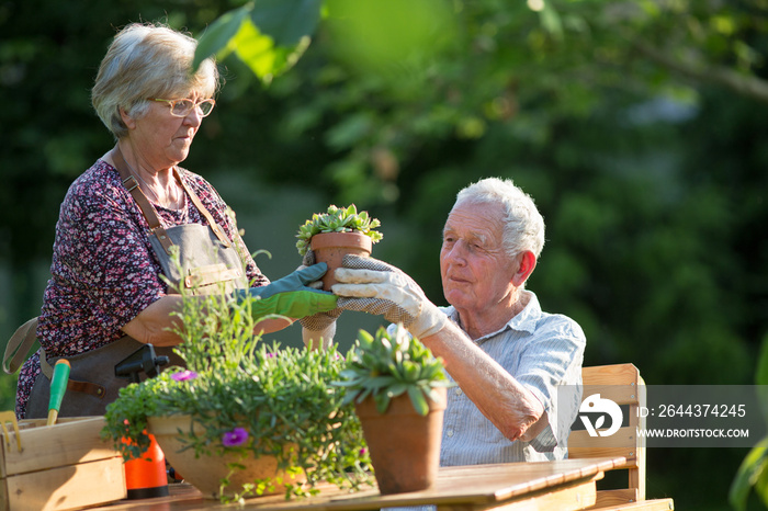 Senior couple potting plants