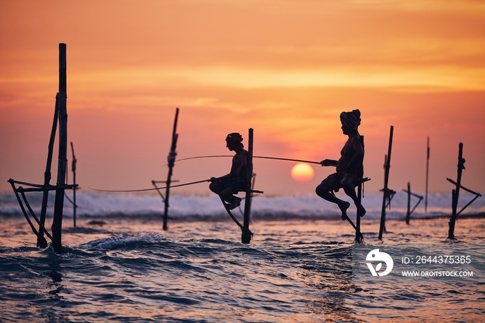 Traditional stilt fishing in Sri Lanka