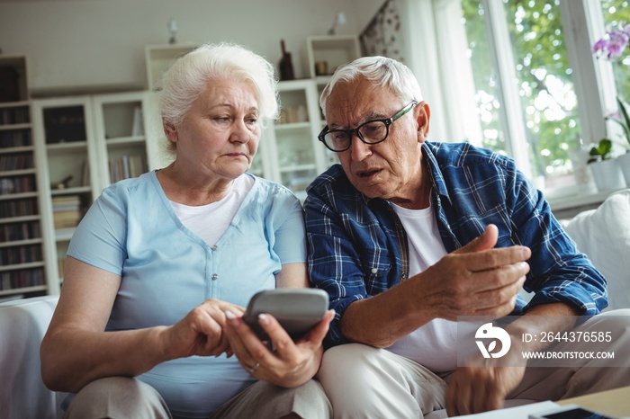 Worried senior couple interacting while checking the bills