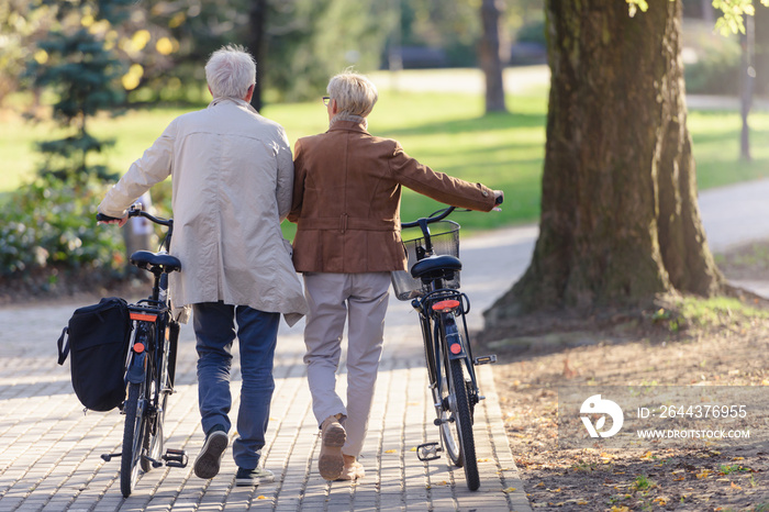 Cheerful active senior couple with bicycles walking through park together. Perfect activities for elderly people