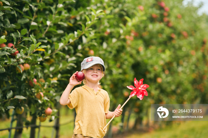 Happy little boy harvesting apples in fruit orchard, organic food for children, wearing hat with swiss flag, holding apple and swiss pinwheel