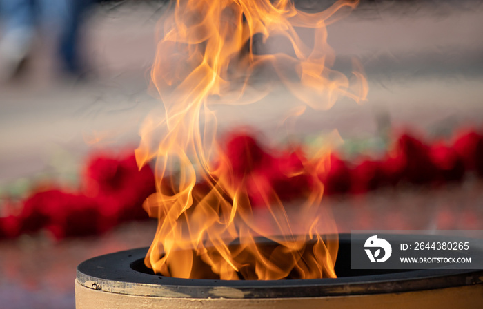 Eternal flame, flames of fire on a blurred background of flowers