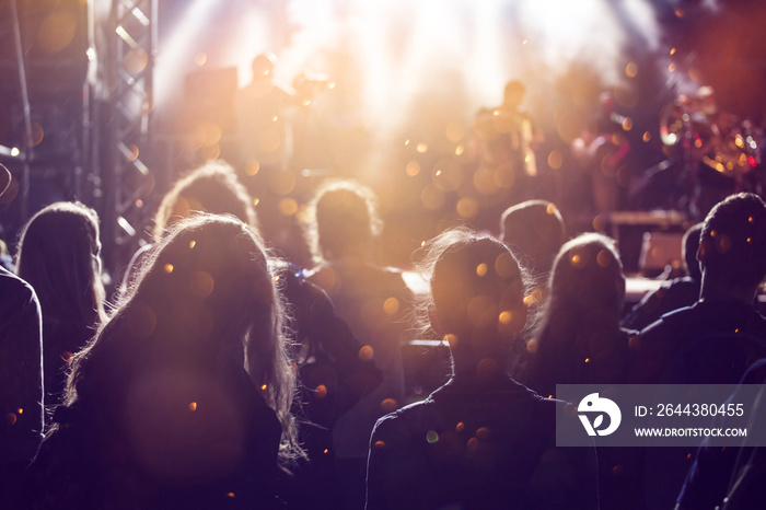 Cheering crowd at a concert