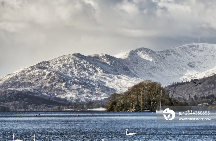 Snow covered Fairfield and Wndermere.