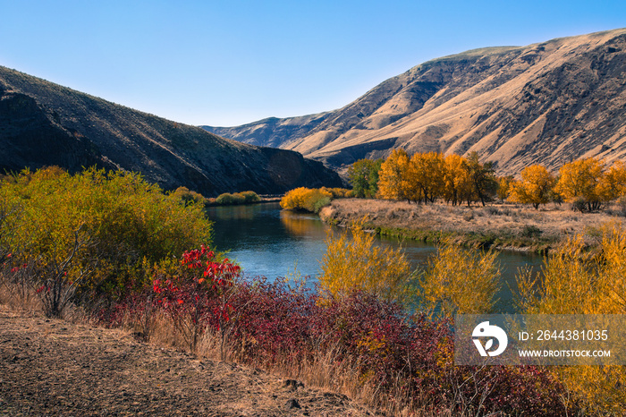 Yakima Canyon and river in fall season. Blue sky reflects in water. Red, yellow and orange colors of foliage on both riverbanks