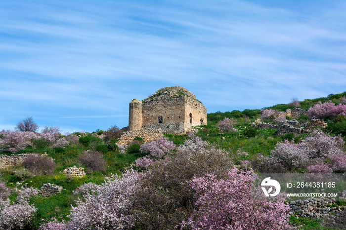 Medieval fortress Acrocorinth on a sunny day, Peloponnese, Greece