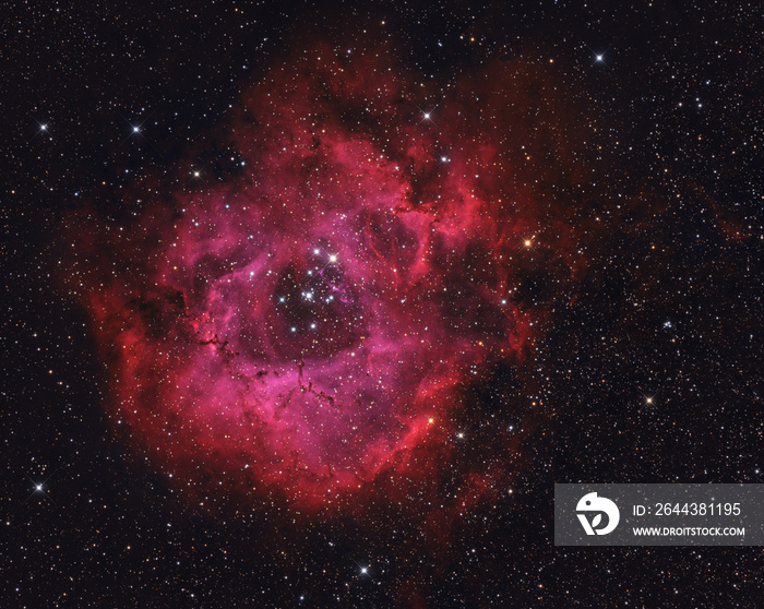 NGC 2244 rosette nebula