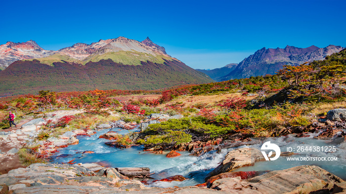 Panoramic view of magical colorful fairytale forest at Tierra del Fuego National Park, Patagonia, Argentina, Autumn time, blue sky