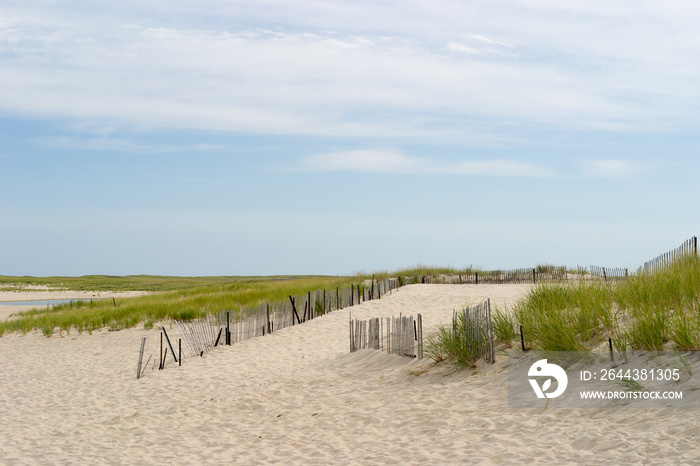 Cape Cod sand dunes