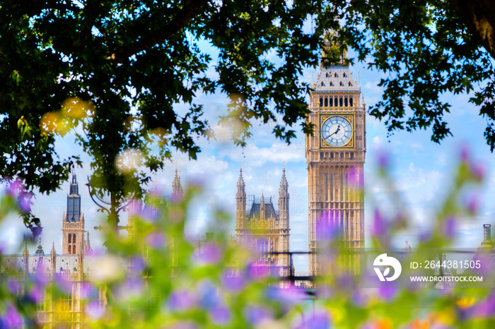 Big Ben,, London UK. View from a public garden with flowers and trees